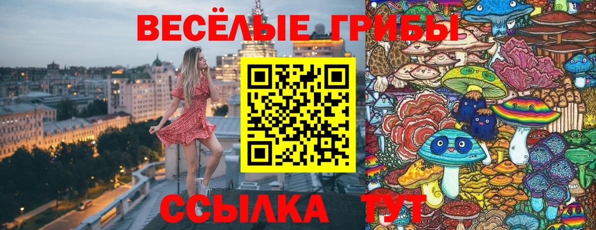 Псилоцибиновые грибы Psilocybine cubensis  Вход с VPN  Псилоцибиновые грибы Cubensis  продажа наркотиков  Партизанск 