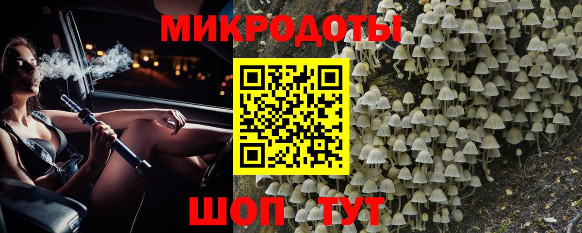 Псилоцибиновые грибы Psilocybine cubensis Партизанск
