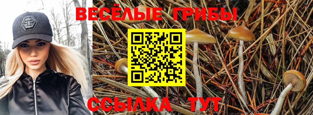МЕТАМФЕТАМИН  COCAIN  Вход с VPN  МЕФ   Меф  Партизанск  Гашиш  Конопля 